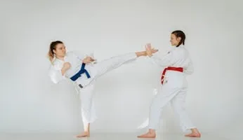 Kursus Taekwondo Raya School Kursus Taekwondo Raya School